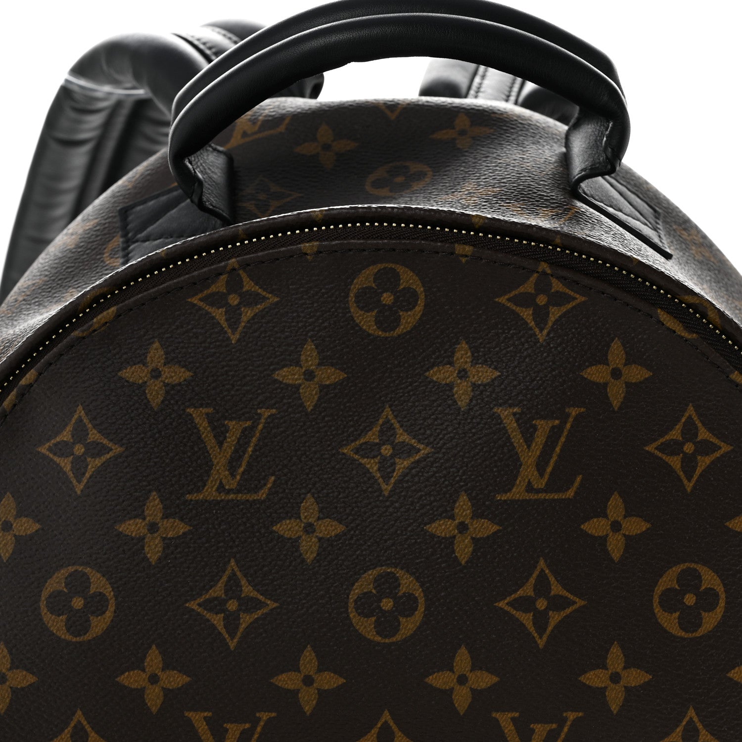 Monogram Palm Springs Backpack MM