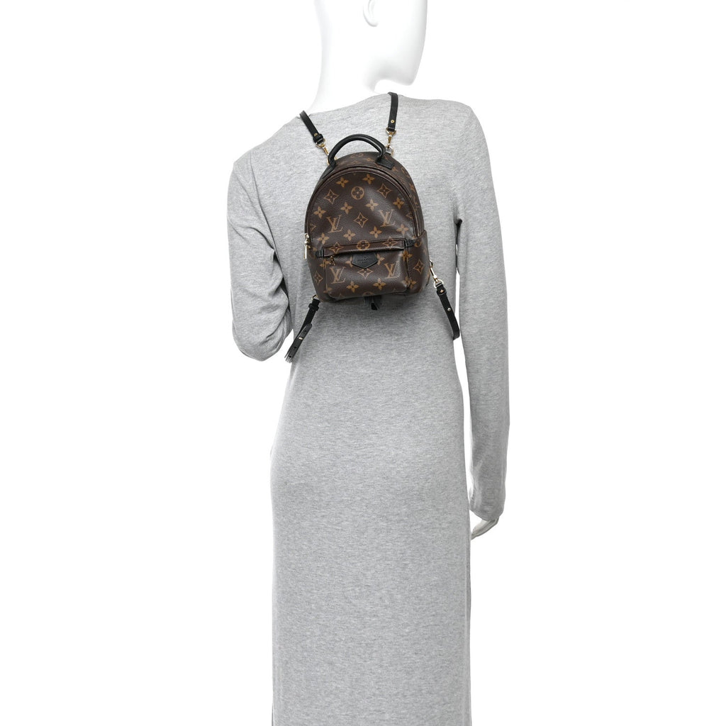 Monogram Palm Springs Backpack Mini