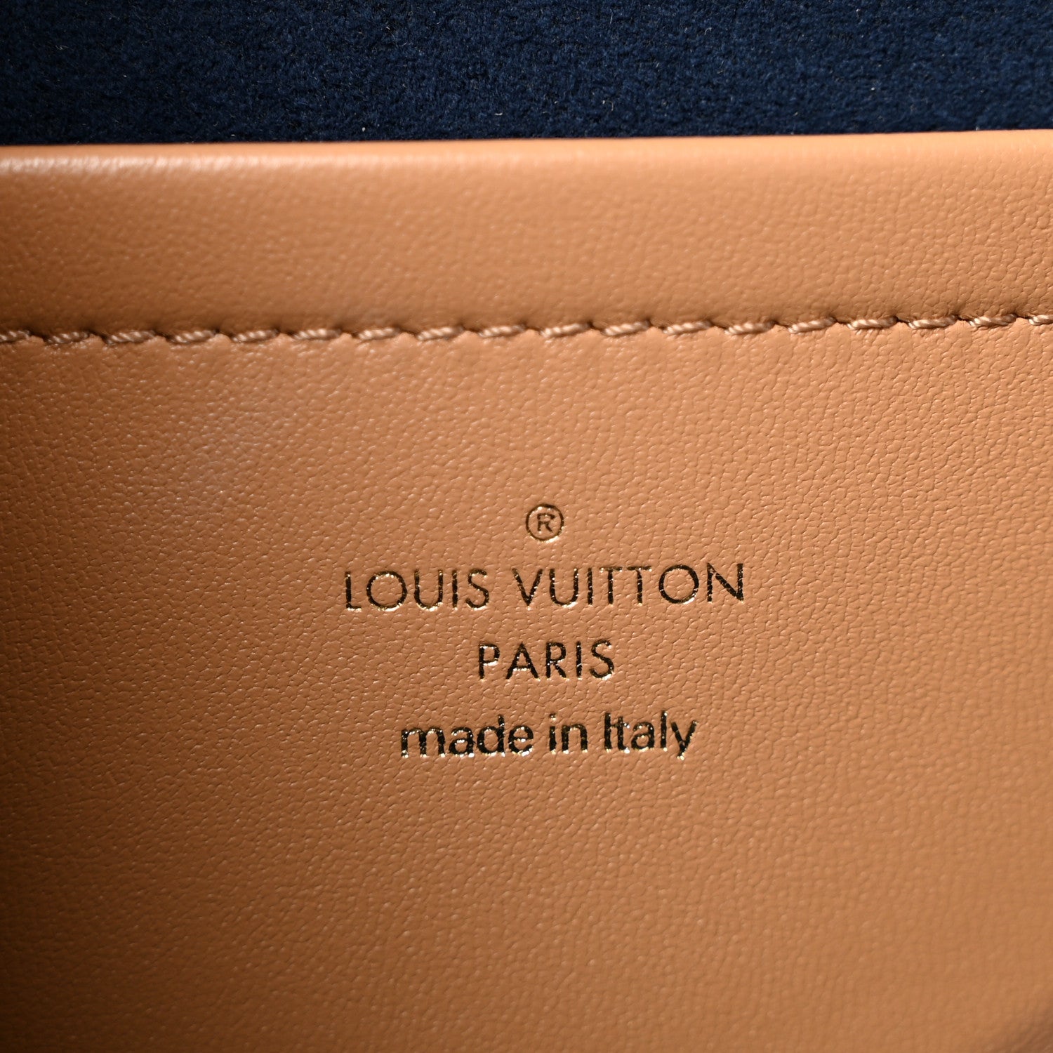 Lambskin Embossed Monogram Pochette Coussin Camel
