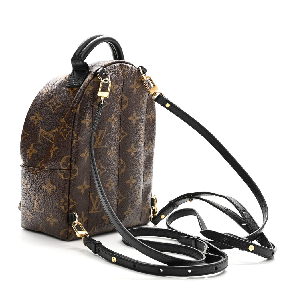 Monogram Palm Springs Backpack Mini