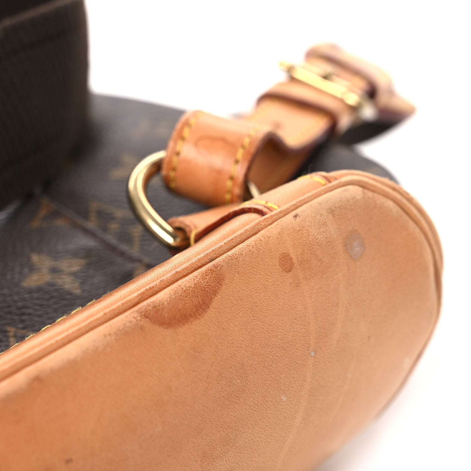 Monogram Montsouris GM Backpack