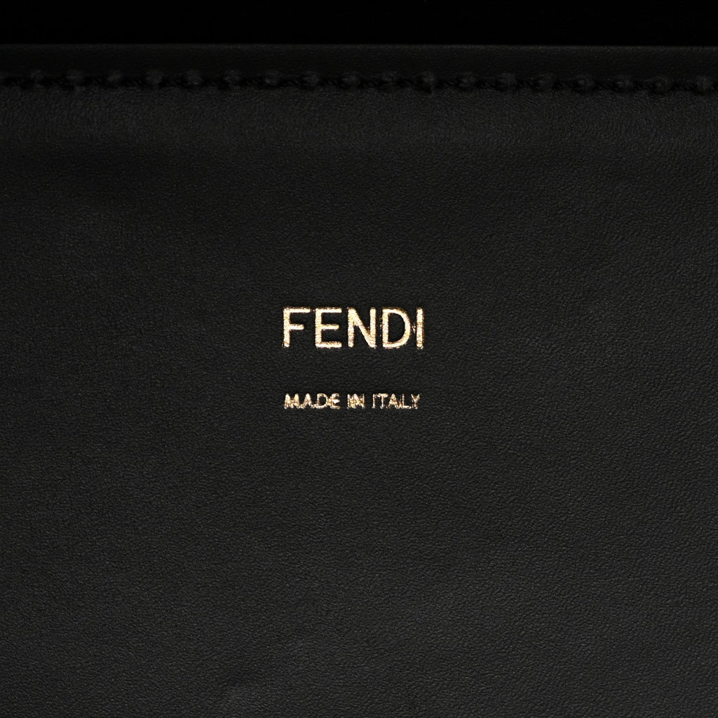 Vitello King Plexiglass Elaphe Python Print Logo Medium Fendi Sunshine Shopper Tote Dark Asphalt