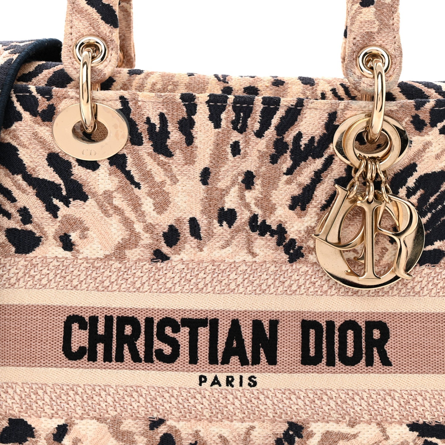 Canvas Embroidered Medium Tie And Dior Lady D-Lite Multicolor