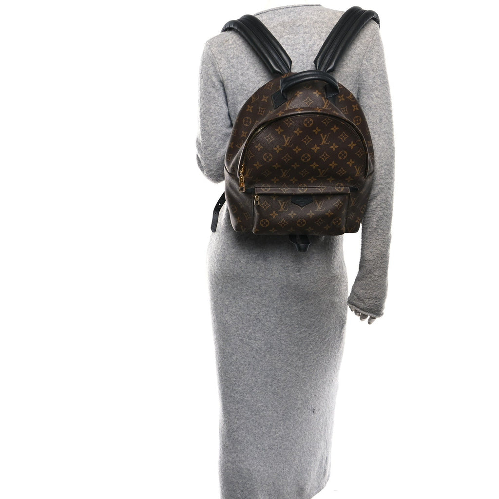 Monogram Palm Springs Backpack MM