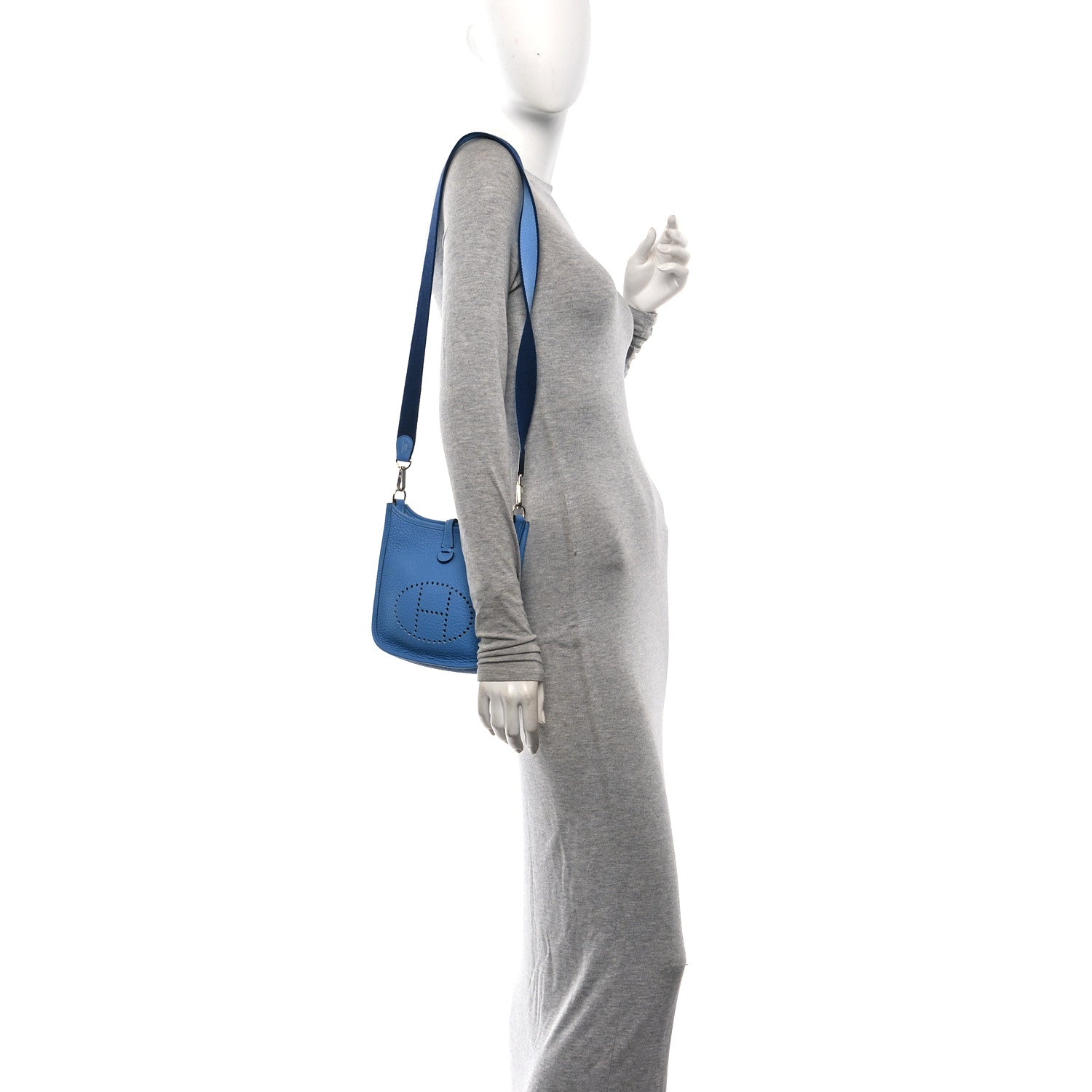 Taurillon Clemence Amazone Evelyne TPM  Bleu Paradis Saphir