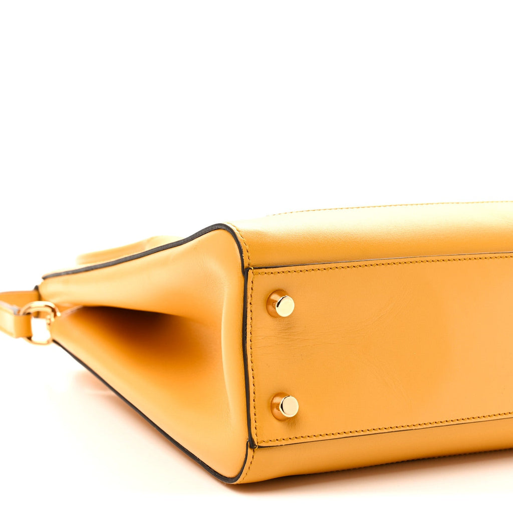 Boarded Plutone Calfskin Medium Jackie 1961 Tote Crop