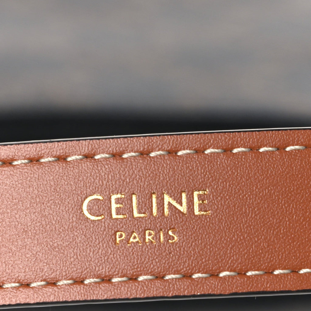 Triomphe Canvas Calfskin Ava Shoulder Bag Tan