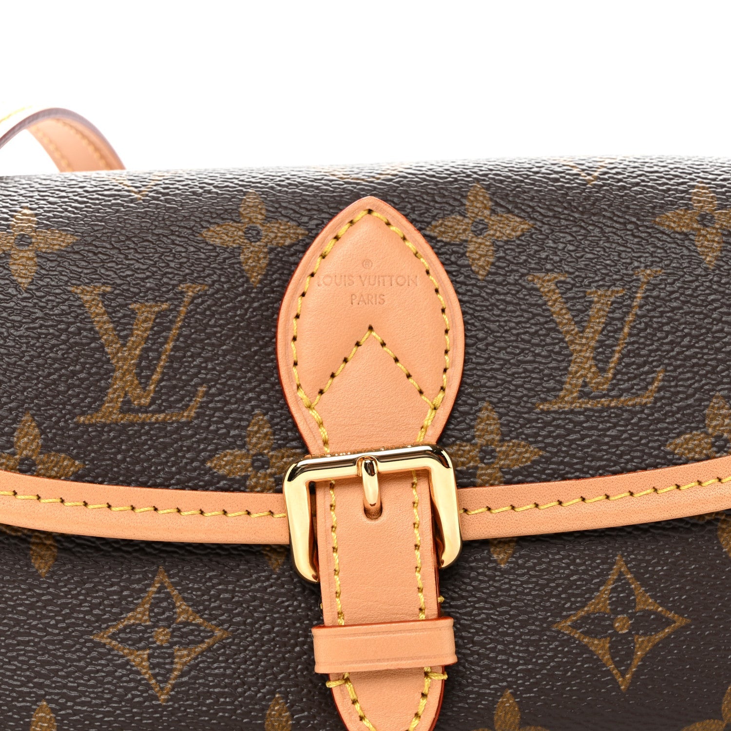 Monogram Nano Diane