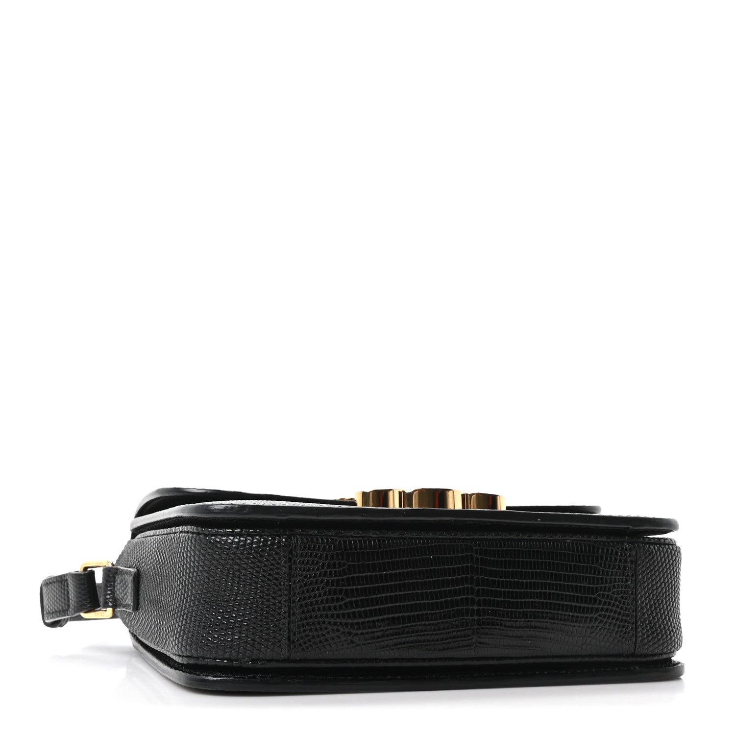 Lizard Teen Triomphe Black