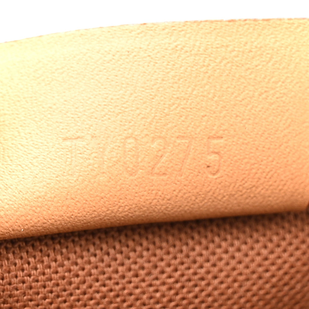 Monogram Nano Speedy Bandouliere