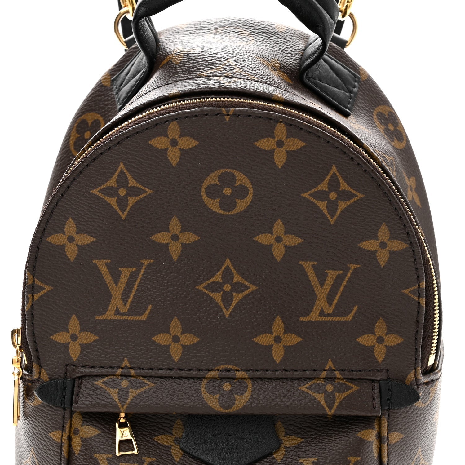 Monogram Palm Springs Backpack Mini