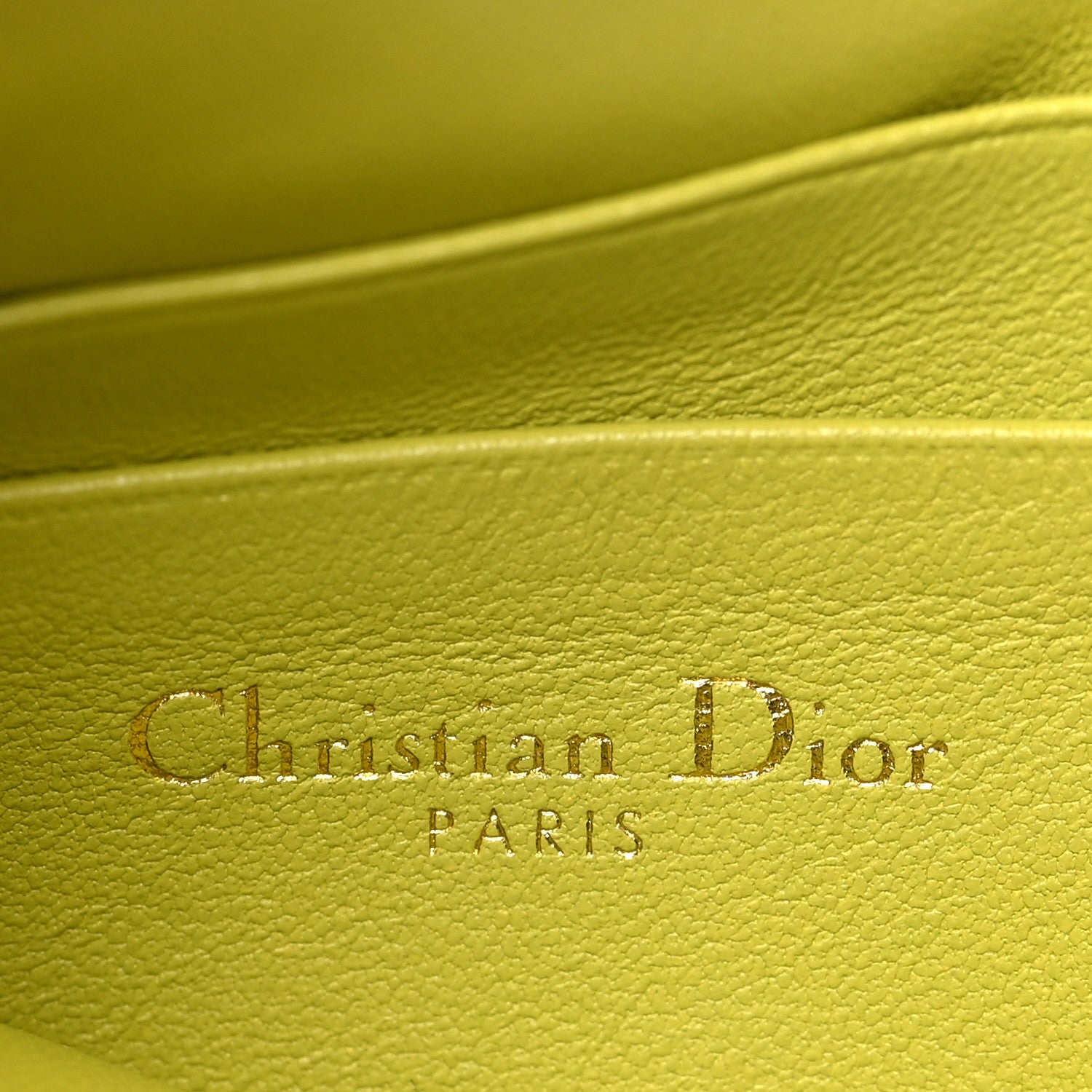 Supple Calfskin Cannage Caro Multifunctional Pouch Lime