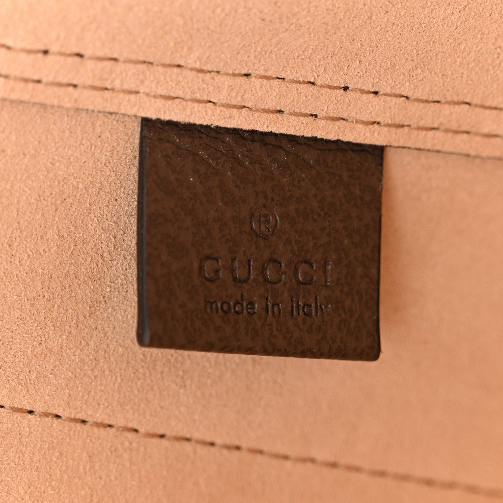 GG Supreme Monogram Web Ophidia Tote Brown