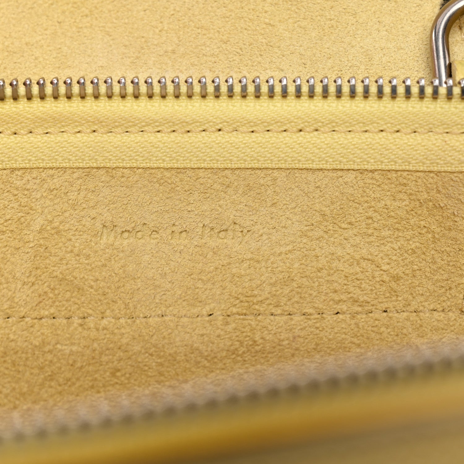 Grained Calfskin Nano Belt Bag Bergamote