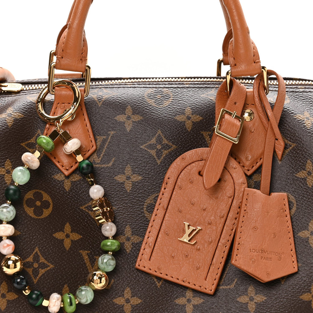 Monogram Speedy Soft 30 Boho