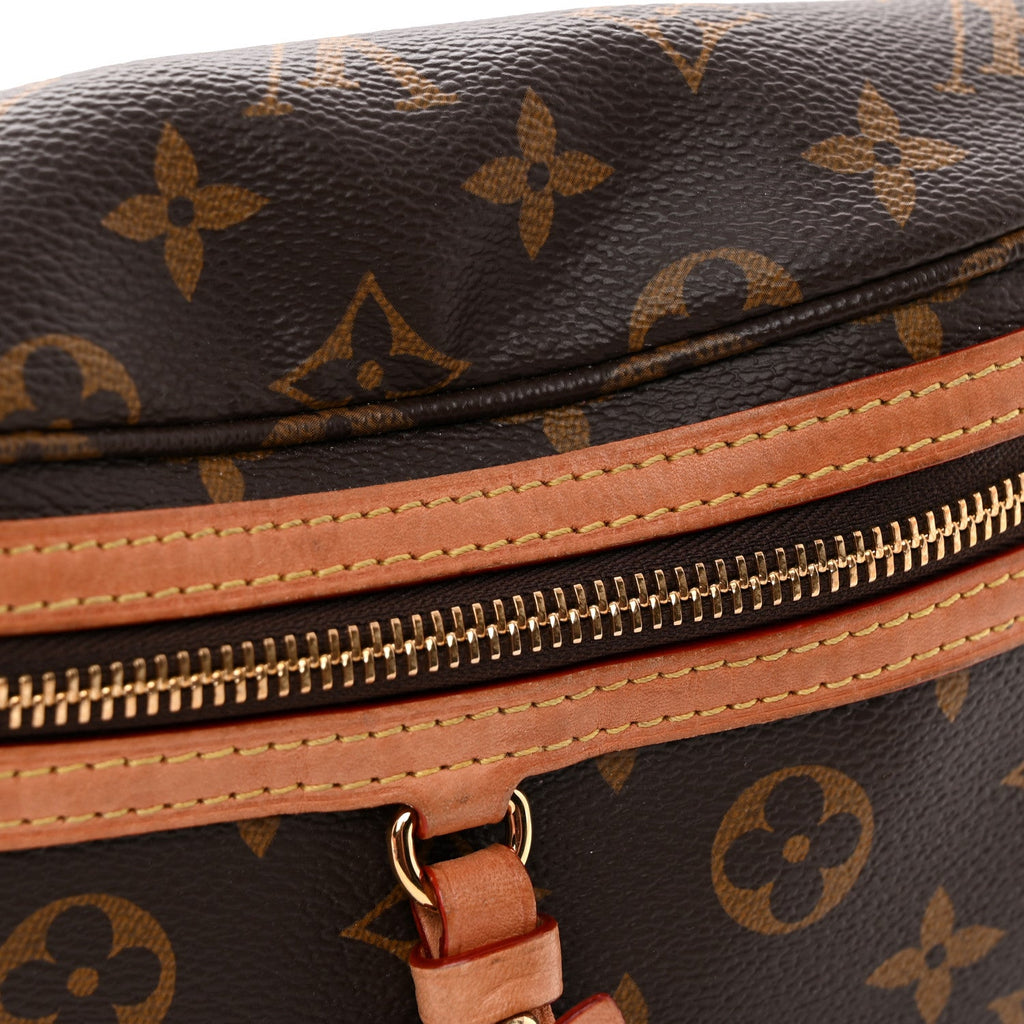 Monogram High Rise Bumbag