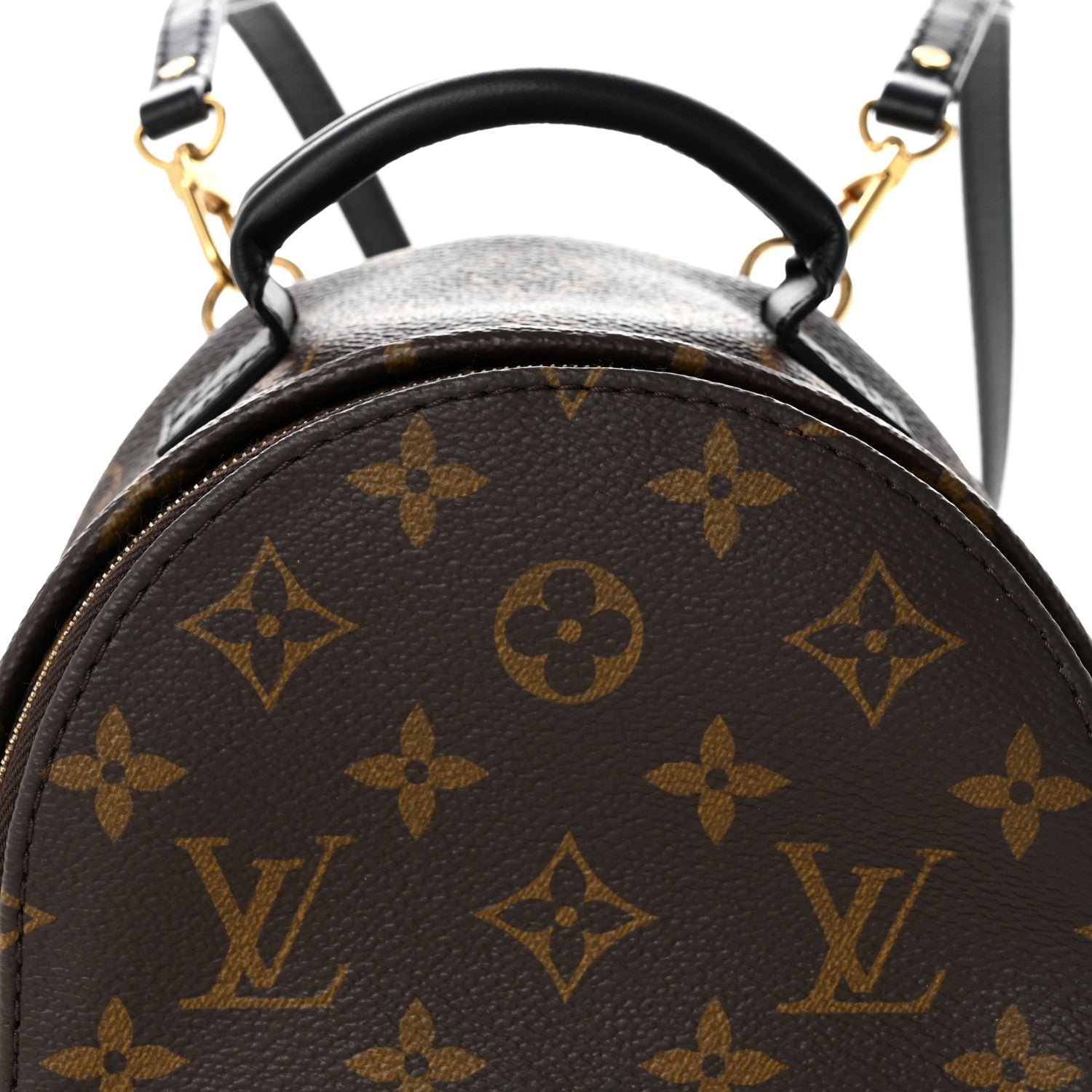 Monogram Palm Springs Backpack Mini