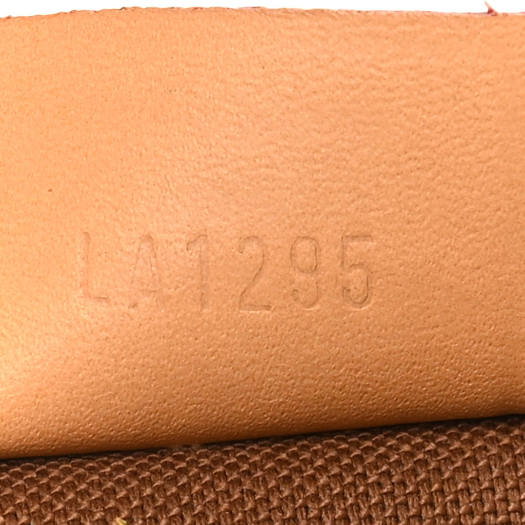 Monogram Nano Speedy Bandouliere